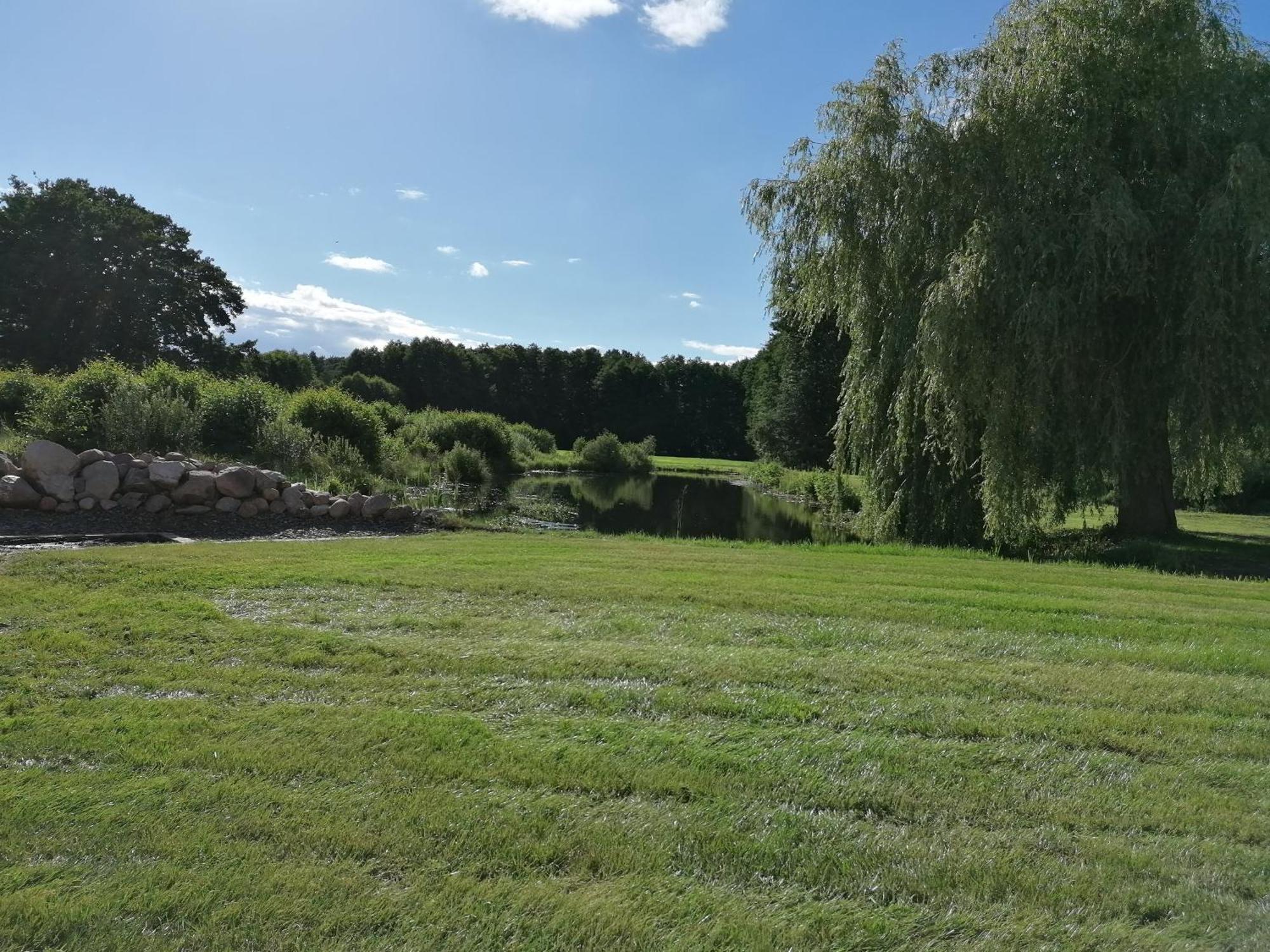 Ferienwohnung Am Teich داننبرغ المظهر الخارجي الصورة